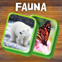 icon Mahjong Fauna-Animal Solitaire