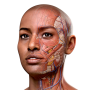 icon Complete Anatomy 2024 voor AllCall A1
