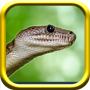 icon Snake