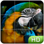 icon Slide Puzzle: Birds