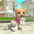 icon CatSim 205