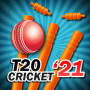 icon T20 Cricket 2021