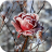 icon Frozen Flowers Live Wallpaper 1.0.6