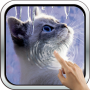 icon Interactive Kitten