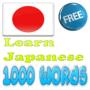 icon Learn Japanese Vocabulary