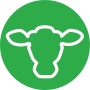 icon AgroVision Cows