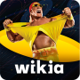 icon FANDOM for: Pro-Wrestling voor Samsung Galaxy Ace S5830I