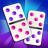 icon Domino Master 3.45.0