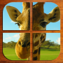 icon Zoo Animal Puzzle