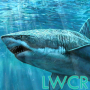 icon sharks live wallpapers
