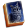 icon Hidden Mahjong Cat Tails: Free