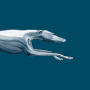 icon Greyhound