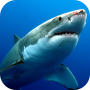 icon Sharks Live Wallpaper