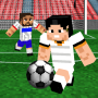 icon Pixel Soccer 3D voor Samsung Galaxy Ace Duos I589