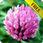 icon Plants 2.5.0