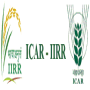 icon RKMP Rice Crop FAQ